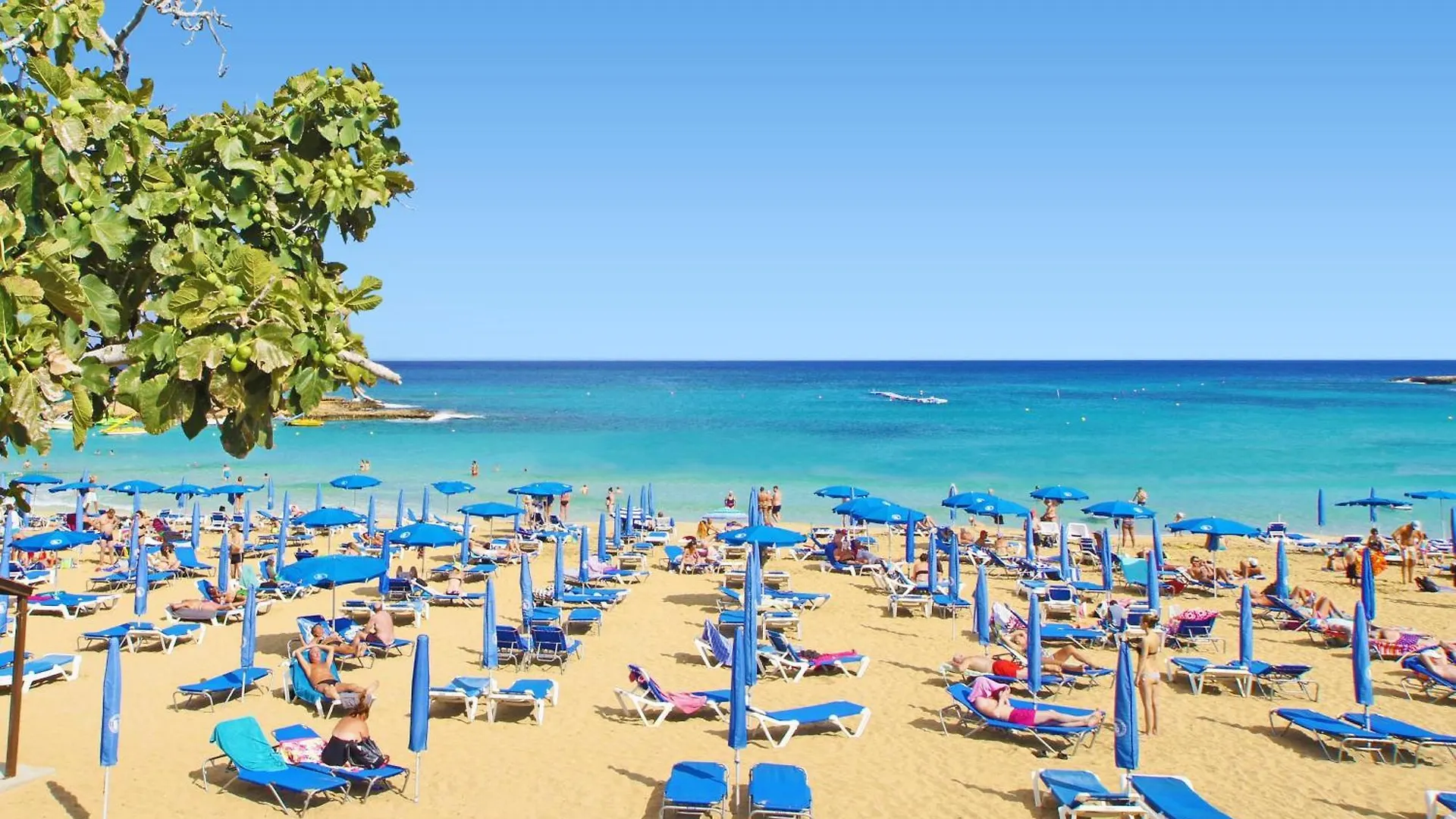 Austin - Coralli Beachfront Apartment Protaras